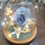 Καμπάνα με γαλάζιο xxl forever rose