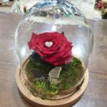 Καμπάνα με κόκκινο xxl forever rose