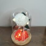 Καμπάνα με λευκό forever rose και λαμπάκια