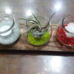 Σύνθεση με αερόφυτο και mini forever rose