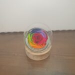 Ανοιχτή γυάλα με forever rose πολύχρωμο