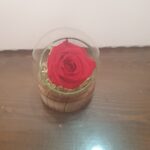 Ανοιχτή γυάλα με forever rose κόκκινο