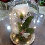 Καμπάνα με λευκό forever rose