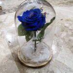 Καμπάνα με μπλε forever rose