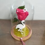 Καμπάνα με φούξια forever rose