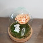 Καμπάνα με σομόν xxl forever rose