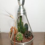 Κάκτοι σε δίσκο