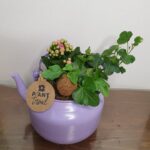 Σύνθεση σε τσαγιέρα