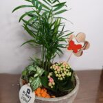 Σύνθεση σε πήλινο