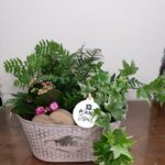 Σύνθεση σε μεταλλικό κασπό