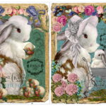 Ριζόχαρτο 2817