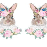 Ριζόχαρτο 2829