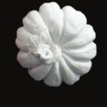 Κολοκύθα ΗΥΚ229