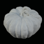 Κολοκύθα HYK133