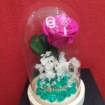 Καμπάνα με φούξια forever rose και ορτανσία