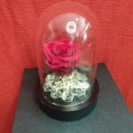 Καμπάνα με κόκκινο forever rose σ΄ αγαπώ