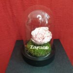 Καμπάνα με ροζ forever rose