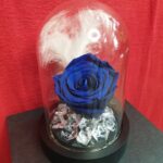 Καμπάνα με μπλε forever rose