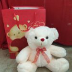 Μεγάλο αρκουδάκι σε τσάντα