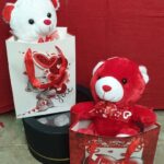 Μικρό αρκουδάκι σε τσάντα