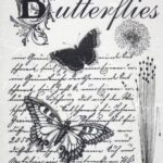 Ριζόχαρτο Cadence 010