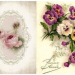 Ριζόχαρτο 1100