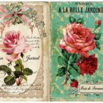 Ριζόχαρτο 1216