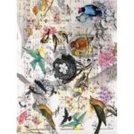 Ριζόχαρτο Cadence 136