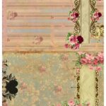 Ριζόχαρτο 1624