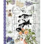 Ριζόχαρτο Cadence 285