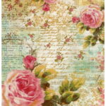 Ριζόχαρτο 638