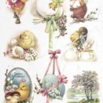 Ριζόχαρτο Itd collection, 21x29cm