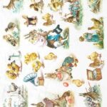 Ριζόχαρτο Itd collection, 21x29cm