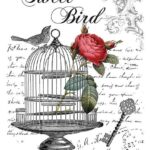 Home decor transfer HDT-002