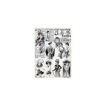 Ριζόχαρτο Cadence 213