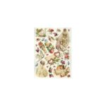 Ριζόχαρτο Cadence 231