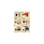 Ριζόχαρτο Cadence 268