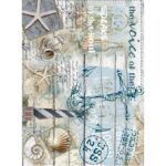 Ριζόχαρτο Cadence 360