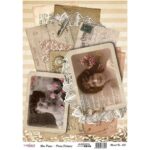 Ριζόχαρτο Cadence 513