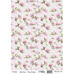 Ριζόχαρτο Cadence 558