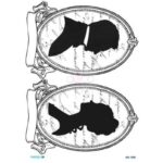 Ριζόχαρτο DIAMOND 1559