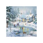 Χαρτοπετσέτα evening skating