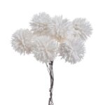 Μπουκέτο εχίνωψ 12cm, white