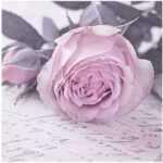 Χαρτοπετσέτα για decoupage, 1τεμ, Mary Vintage