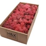 Moss φυσικό, pink, 25gr