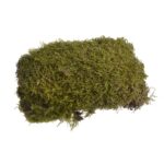 Preserved moss green Γρασίδι, πακέτο 25g