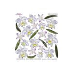 Τυπωμένo φύλλο-Ζελατίνη για Sospeso STS1.14, White orchid