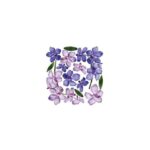 Τυπωμένo φύλλο-Ζελατίνη για Sospeso STS4.07, Orchid Branch