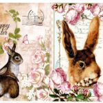 Ριζόχαρτο ST0122