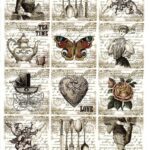 Ριζόχαρτο ST0130